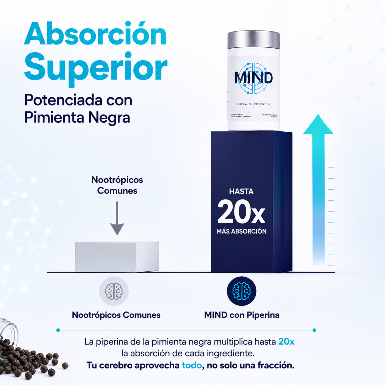 MIND - Nootropic for Memory and Brain Health