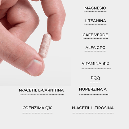 POWER - Empowermind Nootrópicos naturales nootropicos premium vitaminas para el cerebro